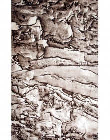 Синтетичний килим ASMARA 218 , BROWN VIZON - высокое качество по лучшей цене в Украине.